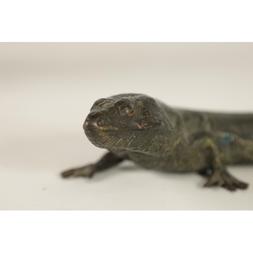 563 - A LATE 19TH CENTURY BERGMAN STYLE COLD PAINTED BRONZE SCULPTURE OF A LIZARD (26cm long)