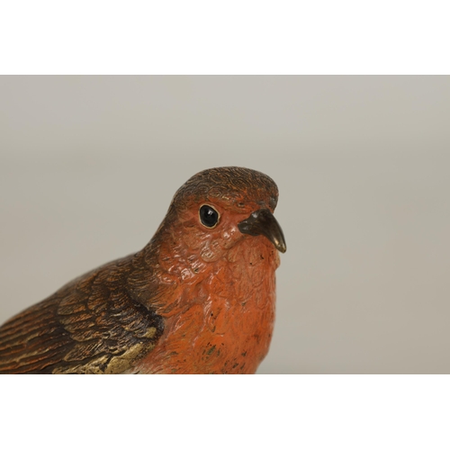 565 - A LATE 19TH CENTURY BERGMAN STYLE COLD PAINTED BRONZE SCULPTURE OF A ROBIN (12cm wide 8cm high)