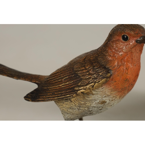 565 - A LATE 19TH CENTURY BERGMAN STYLE COLD PAINTED BRONZE SCULPTURE OF A ROBIN (12cm wide 8cm high)