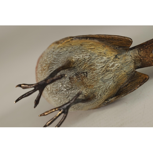 565 - A LATE 19TH CENTURY BERGMAN STYLE COLD PAINTED BRONZE SCULPTURE OF A ROBIN (12cm wide 8cm high)