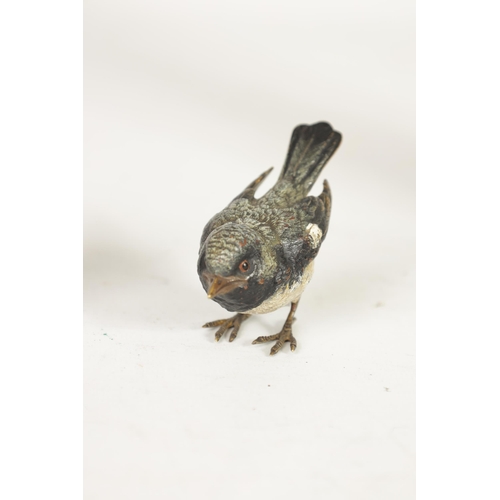 568 - A LATE 19TH CENTURY AUSTRIAN COLD PAINTED BRONZE SCULPTURE modelled as a songbird, tail feather stam... 