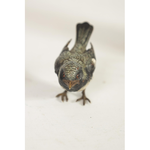 568 - A LATE 19TH CENTURY AUSTRIAN COLD PAINTED BRONZE SCULPTURE modelled as a songbird, tail feather stam... 