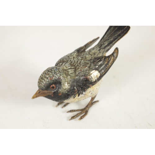 568 - A LATE 19TH CENTURY AUSTRIAN COLD PAINTED BRONZE SCULPTURE modelled as a songbird, tail feather stam... 