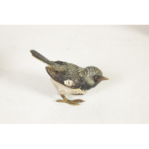 568 - A LATE 19TH CENTURY AUSTRIAN COLD PAINTED BRONZE SCULPTURE modelled as a songbird, tail feather stam... 