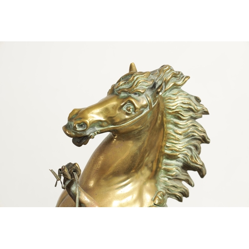 570 - A LARGE PAIR OF 19TH CENTURY GILT BRONZE MARLEY HORSES on naturalistic oval bases (54cm high)