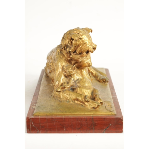 591 - CHARLES PAILLET (1871 - 1937). A LATE 19TH CENTURY GILT BRONZE SCULPTURE OF A RECUMBENT DOG WITH CAT... 