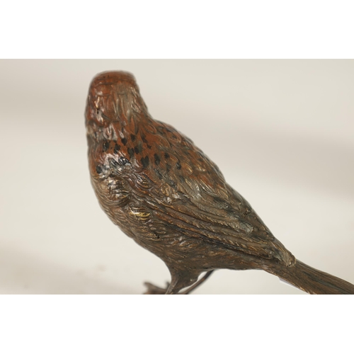 593 - A LATE 19TH CENTURY BERGMAN COLD PAINTED BRONZE SCULPTURE OF A BIRD stamped beneath. (11cm wide 8cm ... 