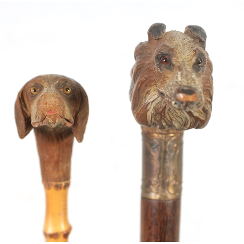 457 - TWO EARLY 20TH CENTURY DOG’S HEAD HANDLED WALKING STICKS both in painted carved wood depicting a Spa... 