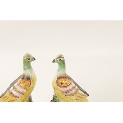 26 - A PAIR OF 19TH CENTURY STAFFORDSHIRE FIGURES modelled as brightly coloured Pigeons. (25cm high)