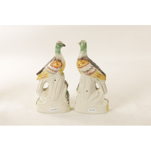 26 - A PAIR OF 19TH CENTURY STAFFORDSHIRE FIGURES modelled as brightly coloured Pigeons. (25cm high)