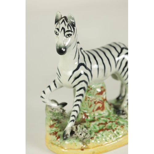 53 - AN EARLY 19TH CENTURY STAFFORDSHIRE MODEL OF A ZEBRA, A STAFFORDSHIRE FIGURAL PEPPERETTE, A BLUE AND... 
