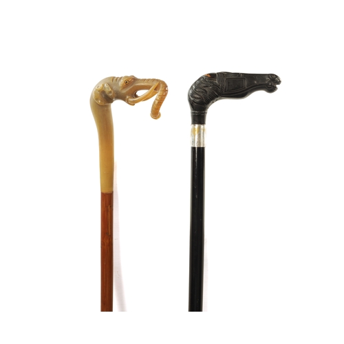 567 - A 19TH CENTURY EBONISED WALKING CANE AND ANOTHER ELEPHANT'S HEAD WALKING STICK the ebonised cane wit... 