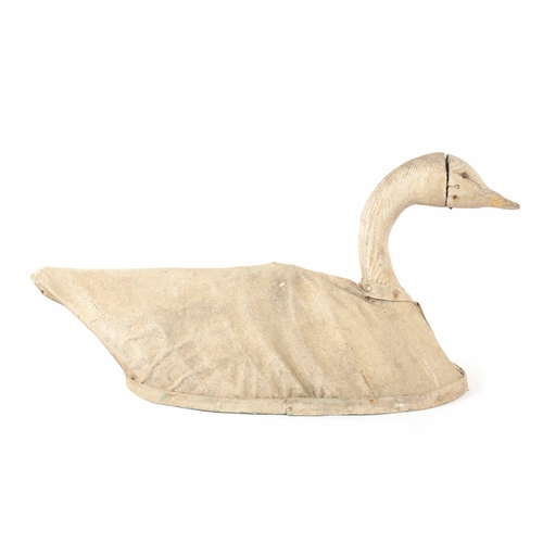 Lot 629       