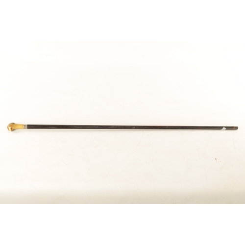 560 - A LATE 19TH CENTURY EBONY AND HORN WALKING CANE with silvered collar and tapering shaft. (91cm overa... 