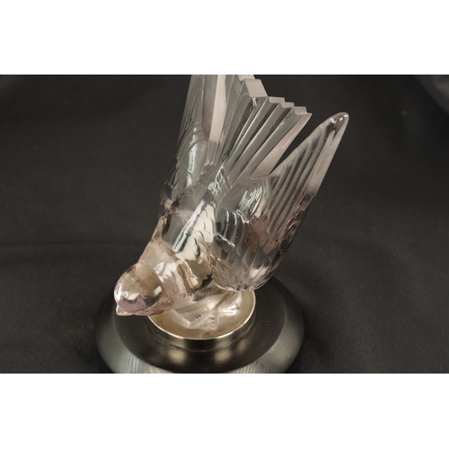 5 - A RENE LALIQUE 'HIRONDELLES' TINTED CLEAR GLASS CAR MASCOT mounted with a chrome collar on a chamfer... 