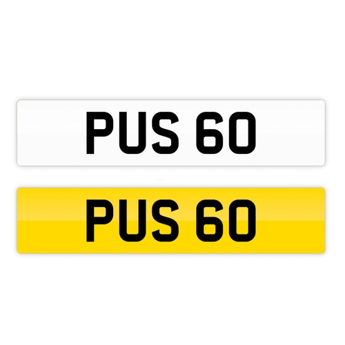 61 - PUS 60 Numberplate on retention