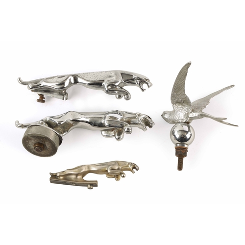 77 - A VINTAGE COLLECTION OF FIVE CHROMED JAGUAR CAR MASCOTS comprising four 'leaping cats' and a swallow... 