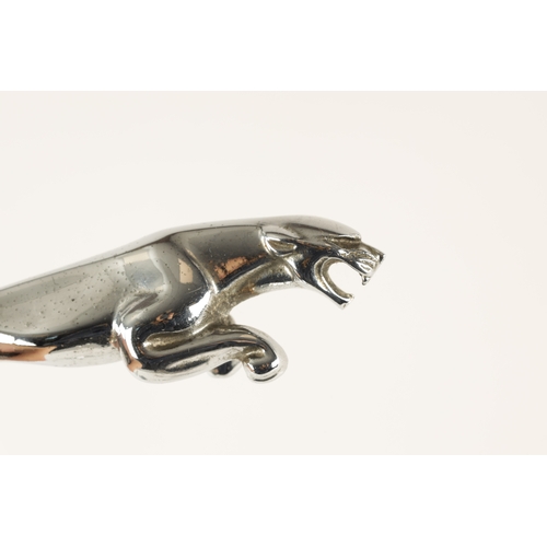 77 - A VINTAGE COLLECTION OF FIVE CHROMED JAGUAR CAR MASCOTS comprising four 'leaping cats' and a swallow... 