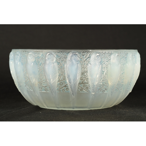 23 - A RENE LALIQUE OPALESCENT BLUE STAINED 'PERRUCHES' BOWL stencil mark 'R. LALIQUE, FRANCE'. (25cm dia... 