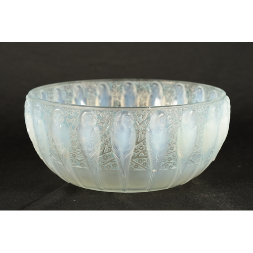 23 - A RENE LALIQUE OPALESCENT BLUE STAINED 'PERRUCHES' BOWL stencil mark 'R. LALIQUE, FRANCE'. (25cm dia... 