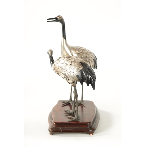 70 - A FINE JAPANESE MEIJI PERIOD SILVERED BRONZE OKIMONO OF TWO CRANES mounted on a moulded hardwood bas... 