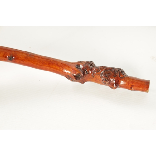 92 - AN EARLY 20TH CENTURY CHINESE CARVED ROOT WOOD WALKING STICK decorated with a figural head handle, b... 