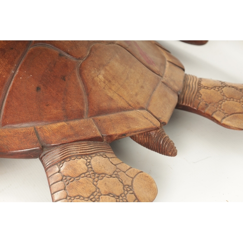 341 - A LARGE HARDWOOD LIFE-SIZE CARVED SCULPTURE modelled as a Hawksbill turtle (81cm long)