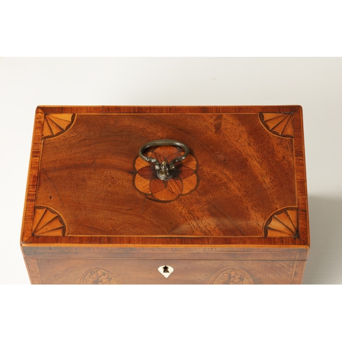 344 - A GEORGE III INLAID MAHOGANY TEA CADDY with shell inlaid corners and shellwork oval panels to the fr... 