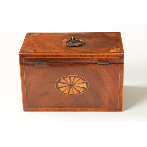 344 - A GEORGE III INLAID MAHOGANY TEA CADDY with shell inlaid corners and shellwork oval panels to the fr... 