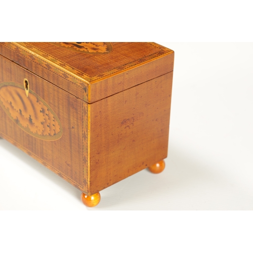 350 - A GEORGE III INLAID MAHOGANY TEA CADDY with oval shell inlaid panels to the top and front and inlaid... 