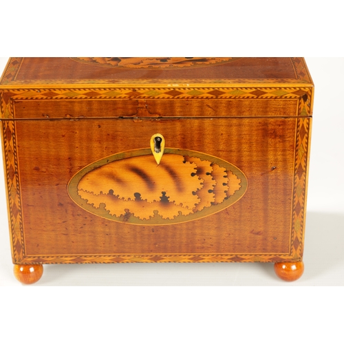 350 - A GEORGE III INLAID MAHOGANY TEA CADDY with oval shell inlaid panels to the top and front and inlaid... 