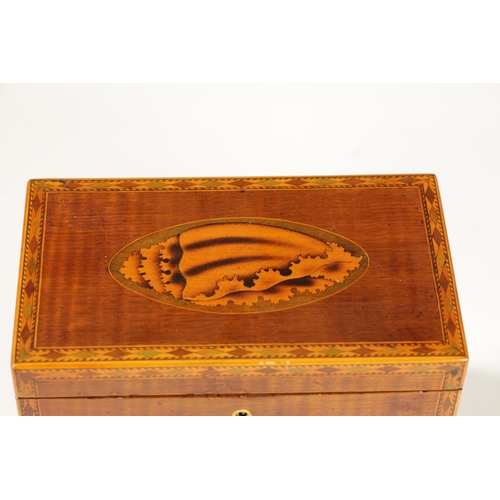 350 - A GEORGE III INLAID MAHOGANY TEA CADDY with oval shell inlaid panels to the top and front and inlaid... 