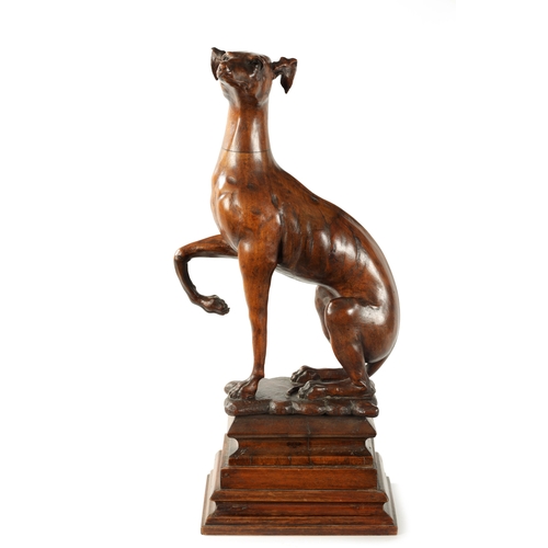 351 - A GOOD 19TH CENTURY CARVED WALNUT OVER-SIZED SCULPTURE OF A SEATED GREYHOUND on a tiered rectangular... 