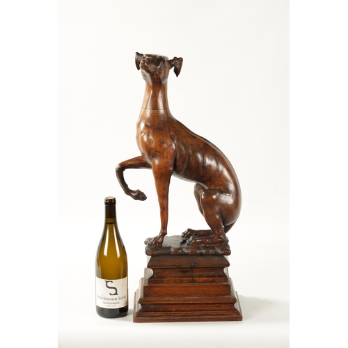 351 - A GOOD 19TH CENTURY CARVED WALNUT OVER-SIZED SCULPTURE OF A SEATED GREYHOUND on a tiered rectangular... 