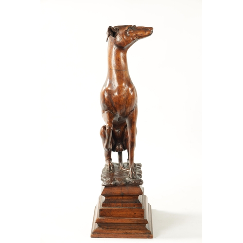 351 - A GOOD 19TH CENTURY CARVED WALNUT OVER-SIZED SCULPTURE OF A SEATED GREYHOUND on a tiered rectangular... 