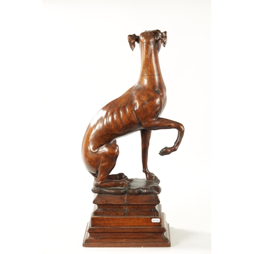 351 - A GOOD 19TH CENTURY CARVED WALNUT OVER-SIZED SCULPTURE OF A SEATED GREYHOUND on a tiered rectangular... 