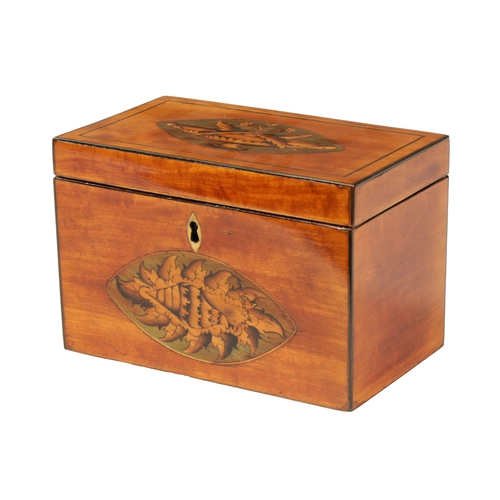 357 - A GEORGE III INLAID SATINWOOD TEA CADDY with oval urn and shell work inlaid panels to the top and fr... 