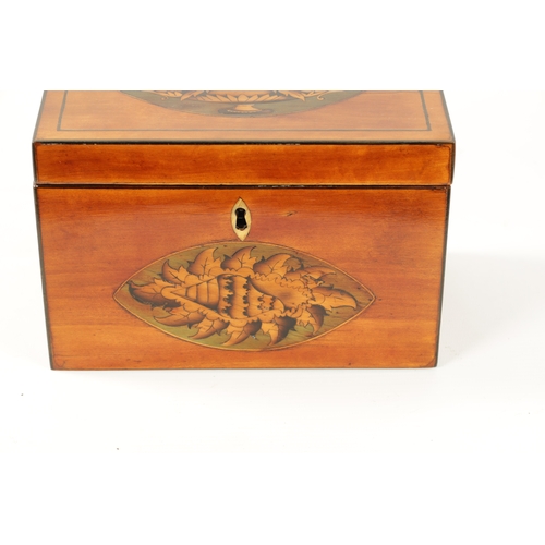 357 - A GEORGE III INLAID SATINWOOD TEA CADDY with oval urn and shell work inlaid panels to the top and fr... 