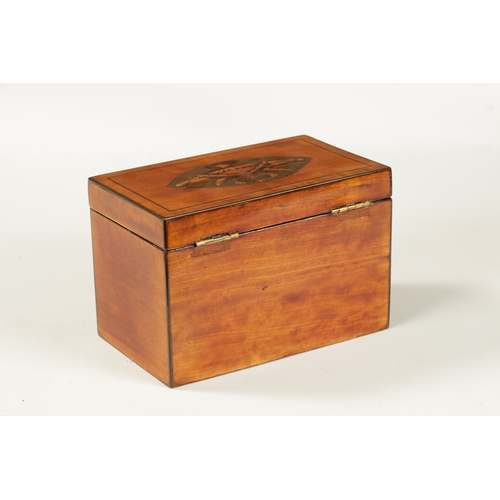 357 - A GEORGE III INLAID SATINWOOD TEA CADDY with oval urn and shell work inlaid panels to the top and fr... 