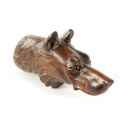 376 - A LATE 19TH CENTURY BLACK FOREST CARVED DOG HEAD with amber glass eyes (21.5cm long)