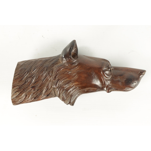 376 - A LATE 19TH CENTURY BLACK FOREST CARVED DOG HEAD with amber glass eyes (21.5cm long)