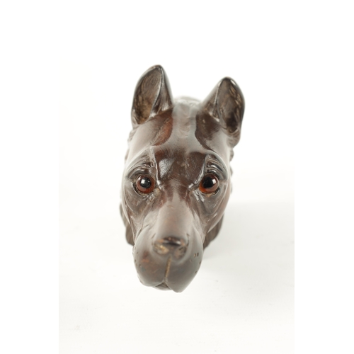 376 - A LATE 19TH CENTURY BLACK FOREST CARVED DOG HEAD with amber glass eyes (21.5cm long)