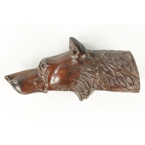 376 - A LATE 19TH CENTURY BLACK FOREST CARVED DOG HEAD with amber glass eyes (21.5cm long)