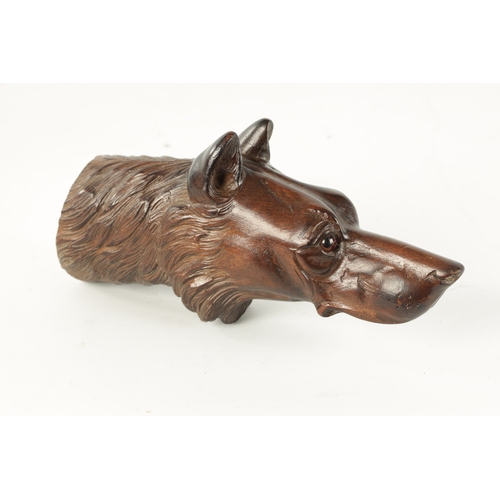 376 - A LATE 19TH CENTURY BLACK FOREST CARVED DOG HEAD with amber glass eyes (21.5cm long)