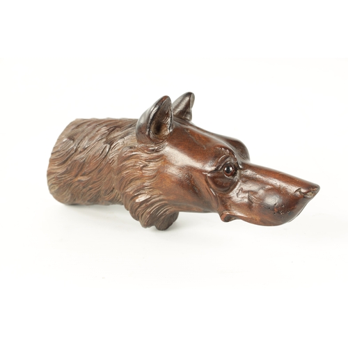 376 - A LATE 19TH CENTURY BLACK FOREST CARVED DOG HEAD with amber glass eyes (21.5cm long)