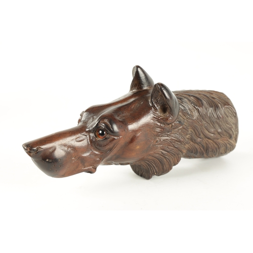 376 - A LATE 19TH CENTURY BLACK FOREST CARVED DOG HEAD with amber glass eyes (21.5cm long)