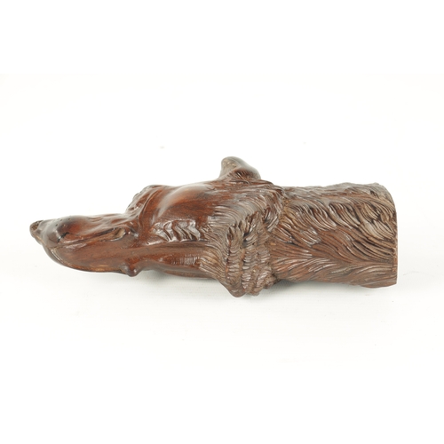 376 - A LATE 19TH CENTURY BLACK FOREST CARVED DOG HEAD with amber glass eyes (21.5cm long)