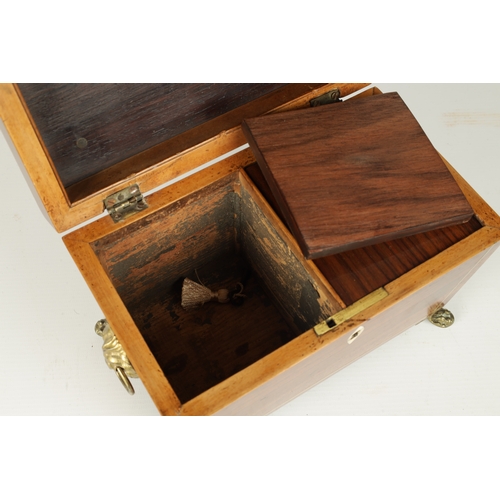 378 - A GOOD REGENCY BRASS INLAID ROSEWOOD TEA CADDY with hinged moulded top and tapering body, fitted lio... 