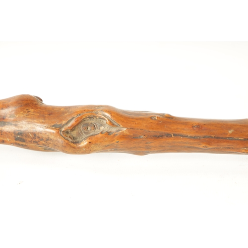 401 - A LATE 18TH/EARLY 19TH CENTURY CARVED ROOTWOOD WALKING STICK the carved monk's head handle above haw... 