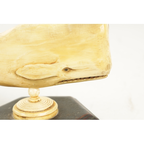 422 - A 19TH CENTURY SAILOR'S WHALE TOOTH SCULPTURE ON STAND modelled as a sperm whale mounted on a hexago... 